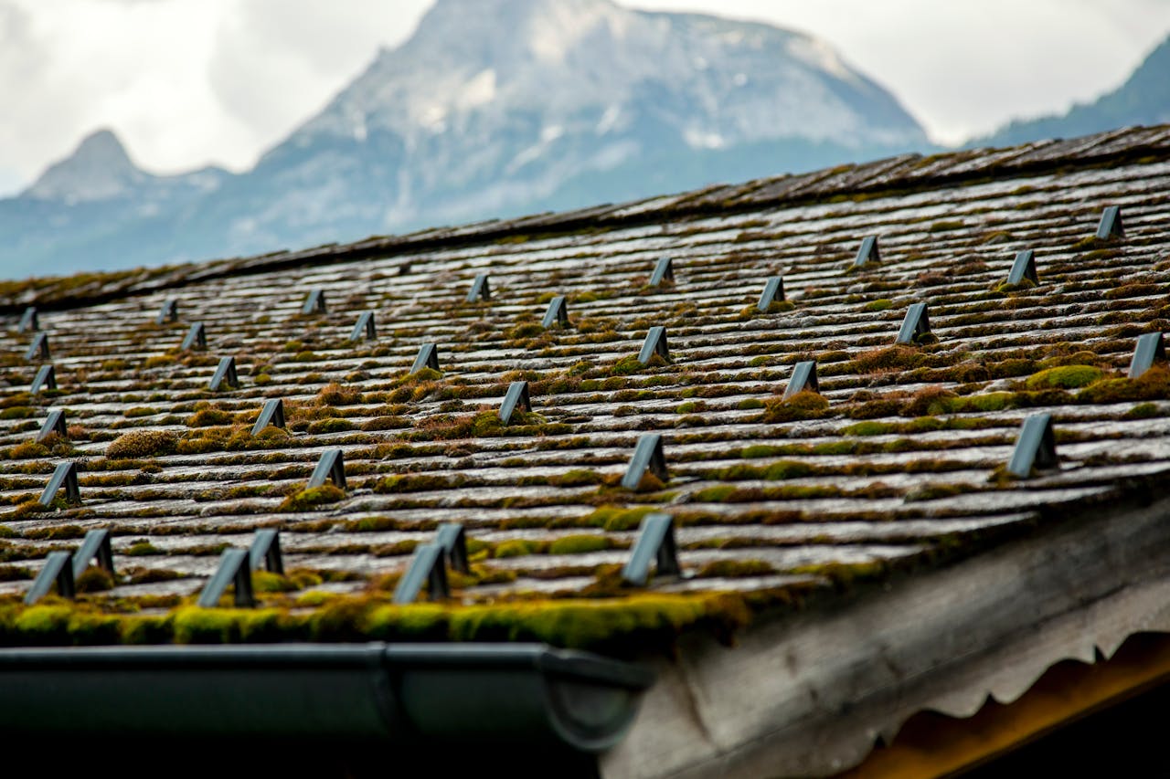 Close-up view of a mossy rooftop with a mountainous landscape in the background, perfect for nature themes.